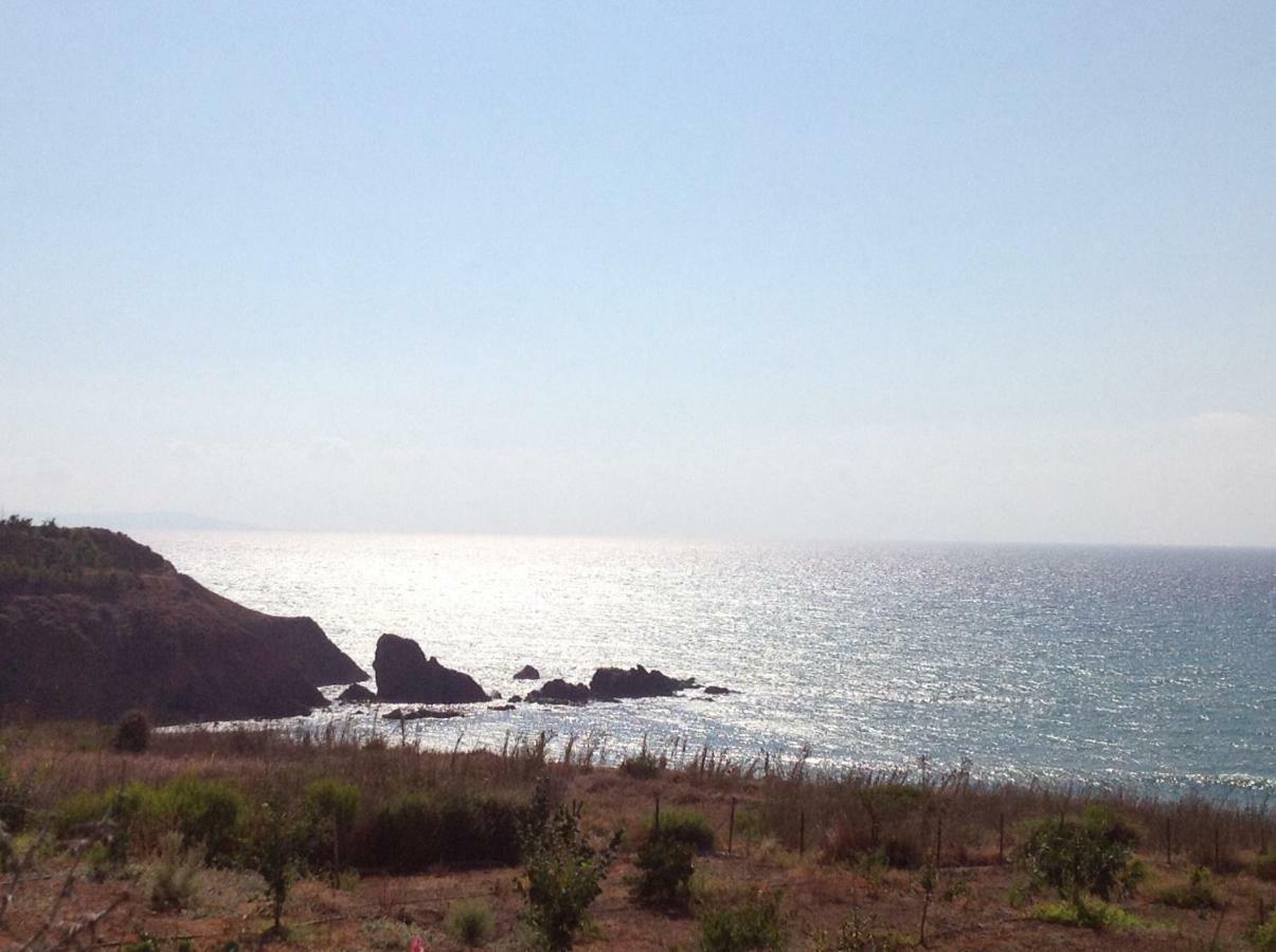 Pomos Idol Exceptional Beach Villa Exterior foto
